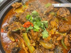 甲鱼土鸡锅-洪湘记川湘·甲鱼馆(四海凯悦美食广场店)