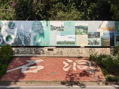 -东莞市大岭山森林公园