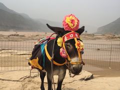 -陕西黄河壶口瀑布旅游区