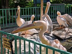 -水上乐园·欢乐世界