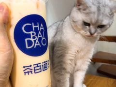 -茶百道(昌里路店)