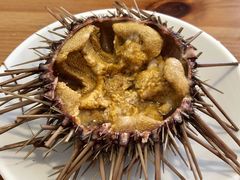 黄海胆-海胆小馆(东北水饺·春柳店)