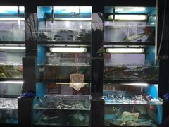 -全乐鱼馆·淳牌有机鱼直营店