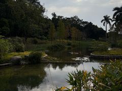 -云溪植物园