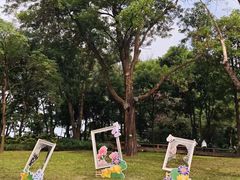 -云溪植物园