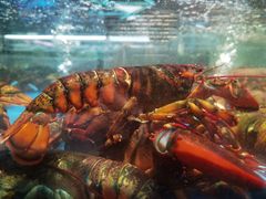 -盒马鲜生(顺义店)