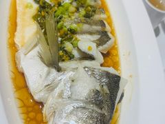 鲜花椒蒸大白鱼-万龙洲海鲜(安定门店)