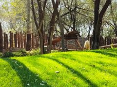 -北京野生动物园