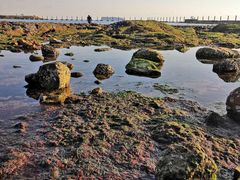 -青岛第三海水浴场