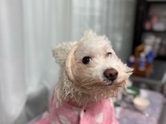 -爱派特动物医院·全科诊疗中心