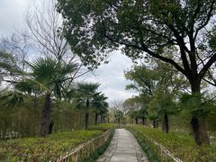 -西溪国家湿地公园