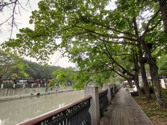 -独食火锅·半米屋台(望平街店)