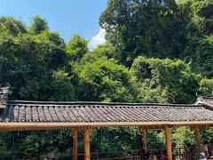 -龙颈河漂流