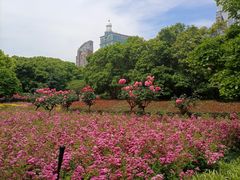 -人民广场