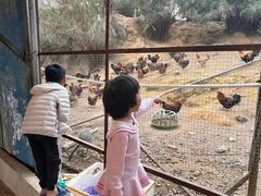 -台山新孖宝柴火黄鳝饭(三合温泉店)