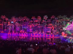 -三亚红色娘子军演艺公园景区