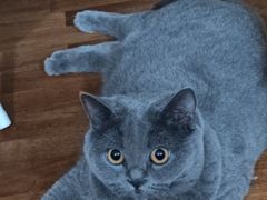 -中农国际动物医院24小时·猫科·骨科·急重症中心