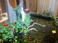 -邈墨茶馆(大兜路1号店)