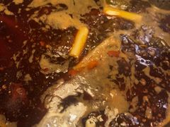 -花鲢鱼头火锅(春城东路店)