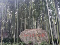 -上海醉白池公园