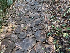 -龙苍沟森林公园