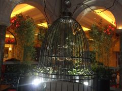 -深圳东部华侨城茵特拉根酒店