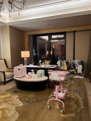 -巍阁月子中心(长沙旗舰店)