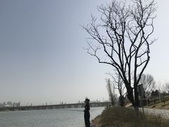 -灞河西岸滨河公园