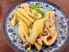 -九斤黄三黄鸡专卖店