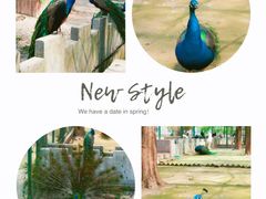 -南京金牛湖风景区