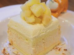 -柴务处·柴犬主题狗咖