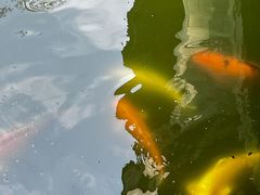 -珠海圆明新园