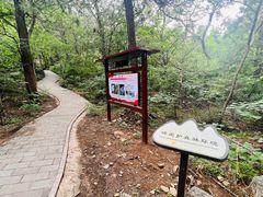 -阳台山自然风景区