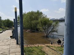 -长白岛森林公园