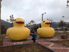 -大鹿岛