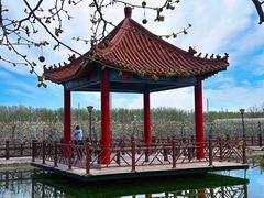 -河北村民俗体验园