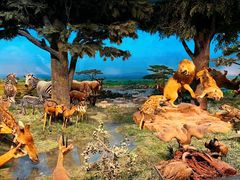 -国家自然博物馆