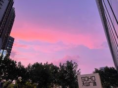 -上海康怡口腔门诊部Alpha Dental