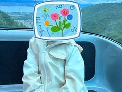 -苍山感通索道