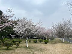 -宜兴龙背山森林公园