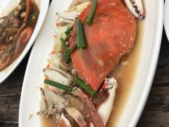 -浙C老邻舍(西城海错店)