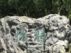 -上海鲜花港