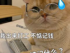 -悸动(吴泾宝龙广场店)