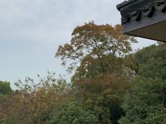 -鼋头渚风景区-王昆仑故居