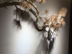 -筠咖啡西餐厅(上海国展宝龙丽筠酒店)
