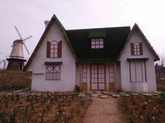 -绵阳盛世樱花悠乐谷