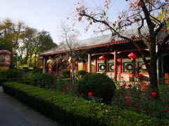 -白家大院·王府宫廷菜(苏州街店)
