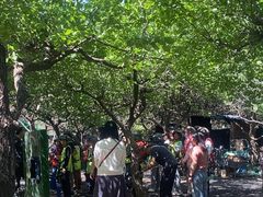 -尚庄度假村·庭台树下·户外烧烤·团建CS·轰趴营地(上庄水库店)