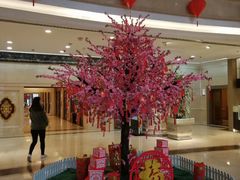 -北京广安门维景国际大酒店