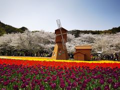 -苏州上方山国家森林公园